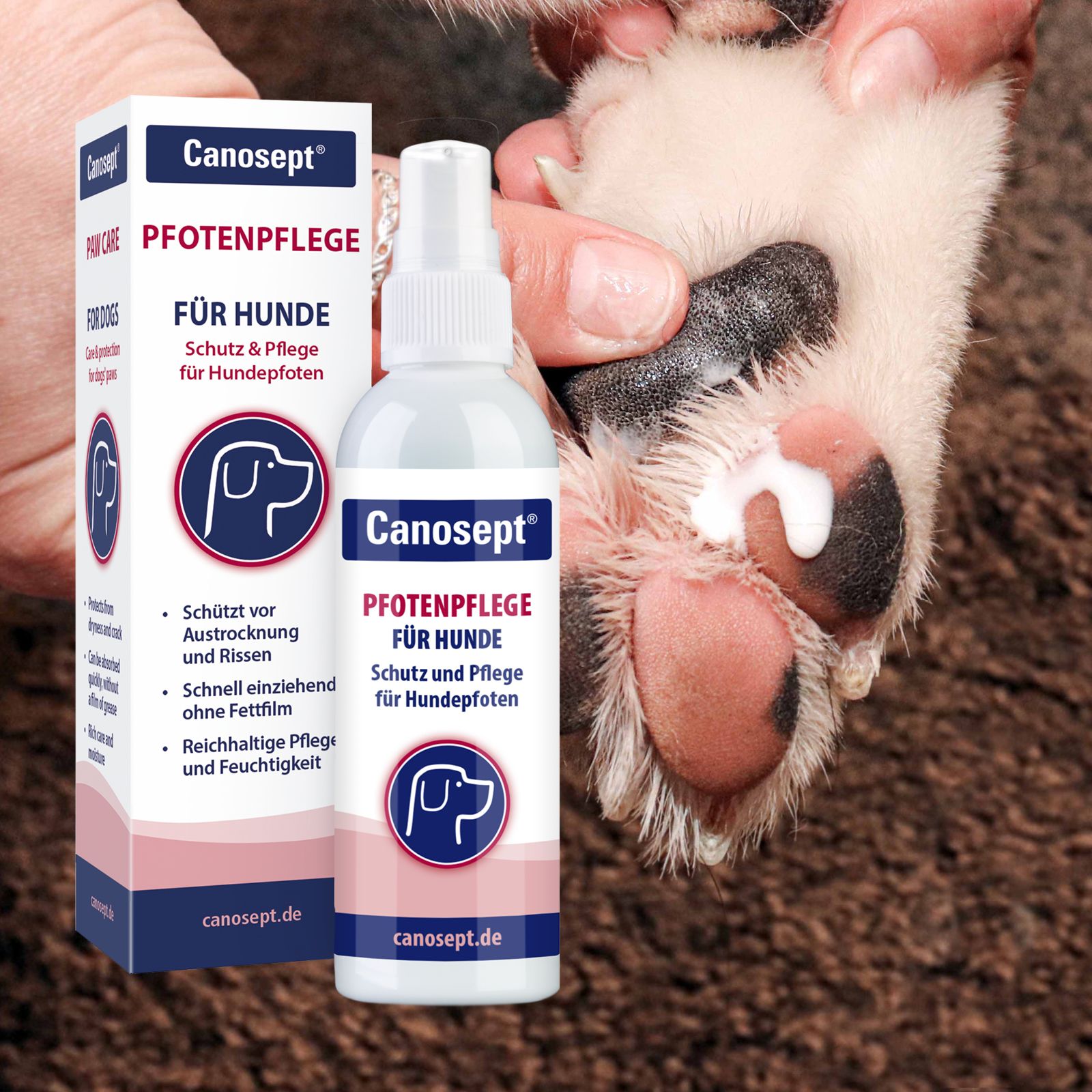 Canosept Pfotenpflege pour chiens. Flacon spray et emballage à côté d'une patte de chien.