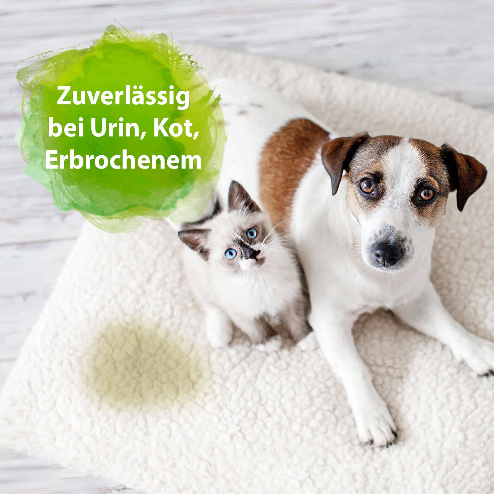 Chat et chien sur une couverture. Texte : Fiable contre l'urine, les excréments, les vomissements. Effet texte vert.