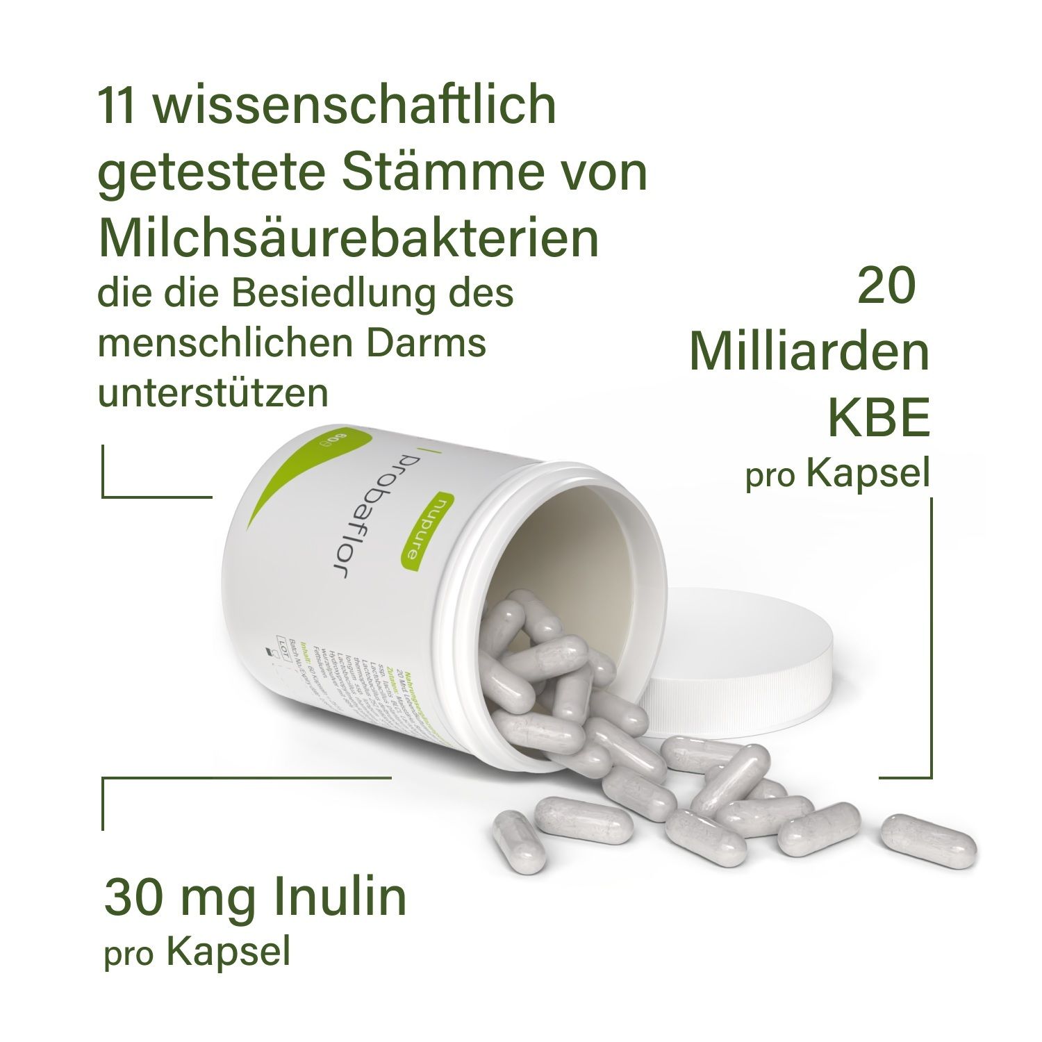 Boîte avec gélules. Texte : 11 souches de bactéries lactiques testées scientifiquement. 20 milliards d'UFC par gélule.