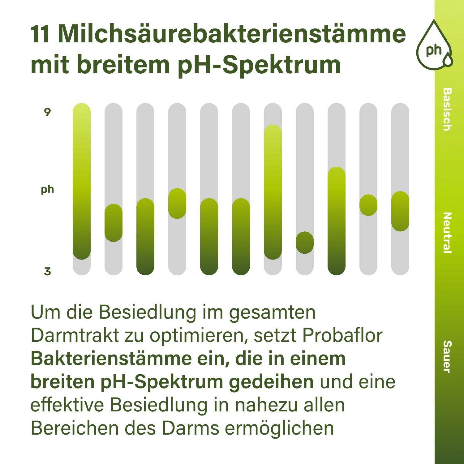 Graphique avec valeurs pH. Texte : 11 souches de bactéries lactiques avec large spectre pH. Optimisation dans l'intestin.