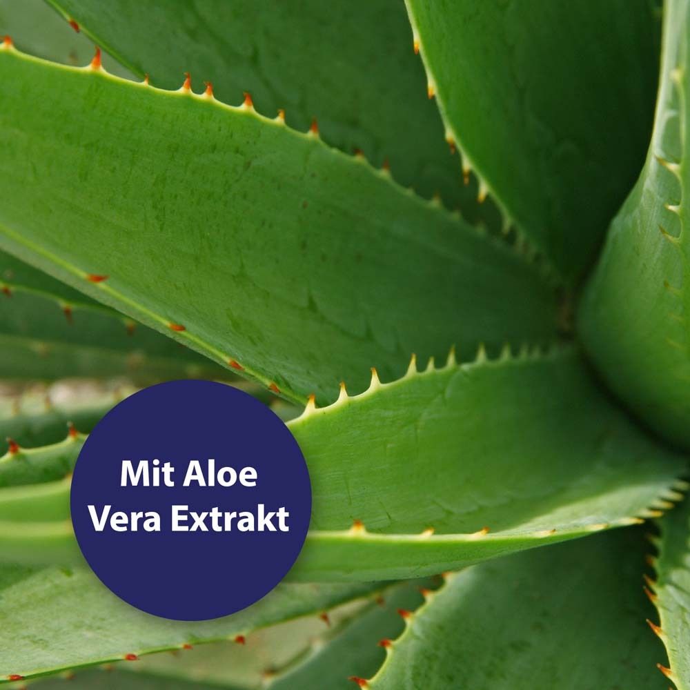 Gros plan sur des feuilles d'aloe vera. Un champ bleu avec l'inscription "Avec extrait d'aloe vera".
