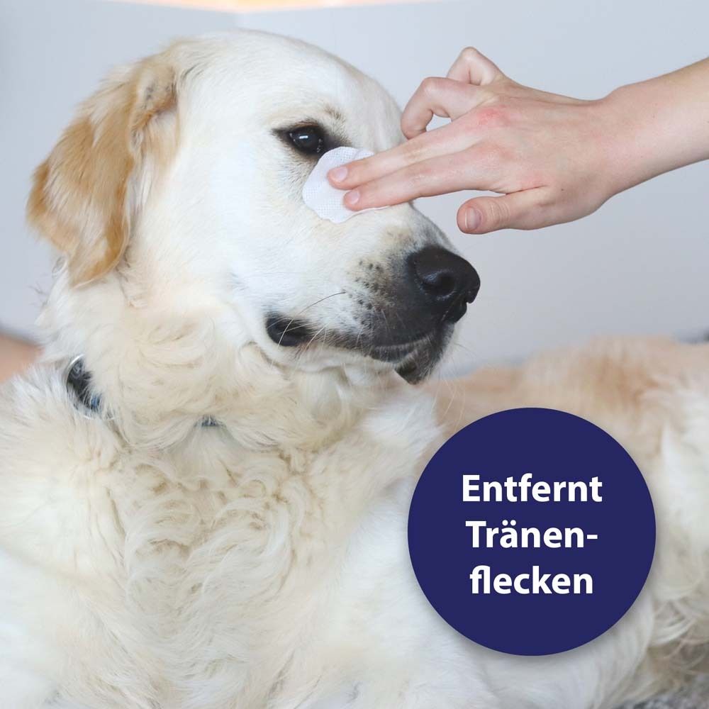Un chien reçoit un tampon pour les yeux. Un champ bleu avec l'inscription "Enlève les taches de larmes".