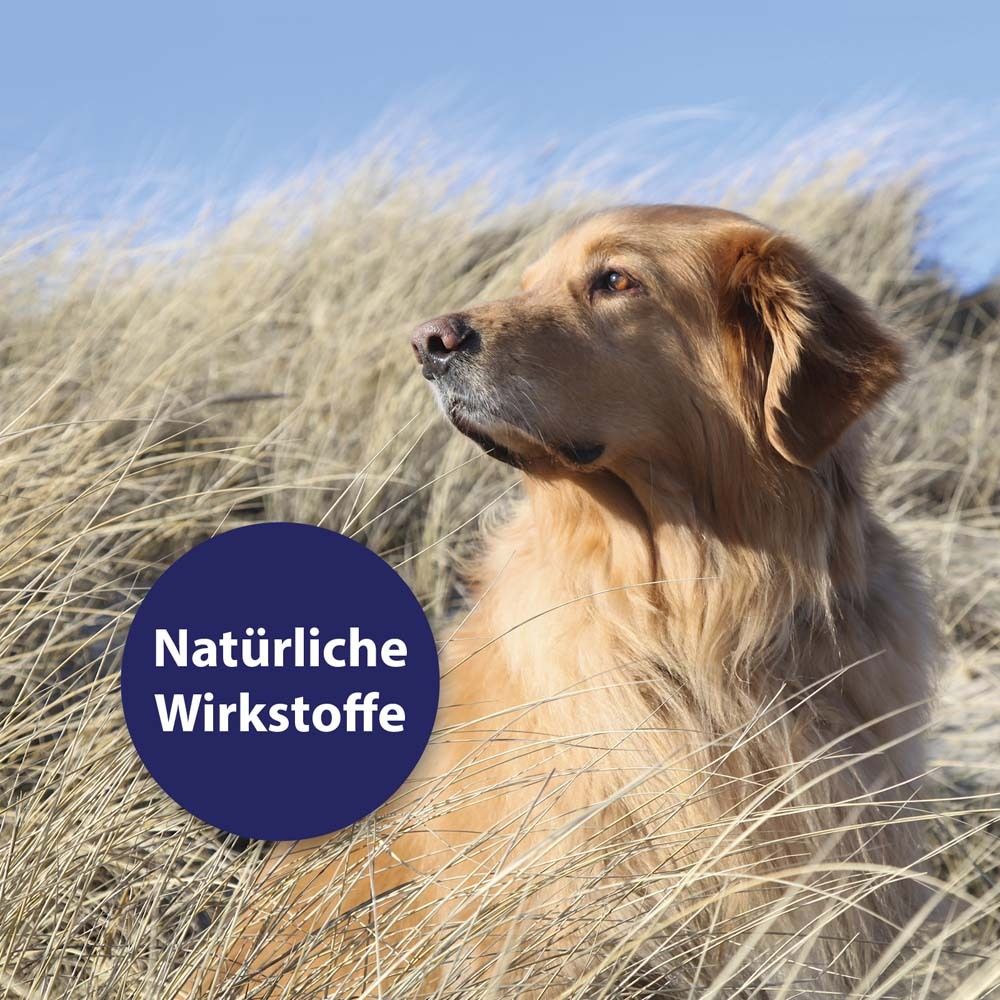 Chien dans l'herbe. Cercle bleu avec texte : Ingrédients actifs naturels.