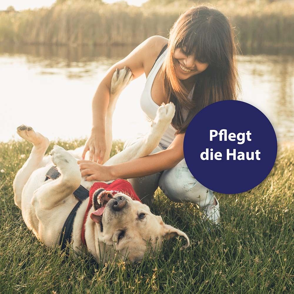 Femme et chien dans l'herbe. Cercle bleu avec texte : Soigne la peau.