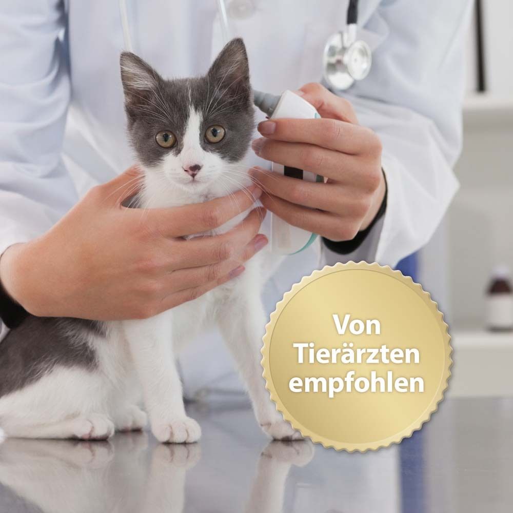 Vétérinaire examinant un chat. Distinction : Recommandé par les vétérinaires.