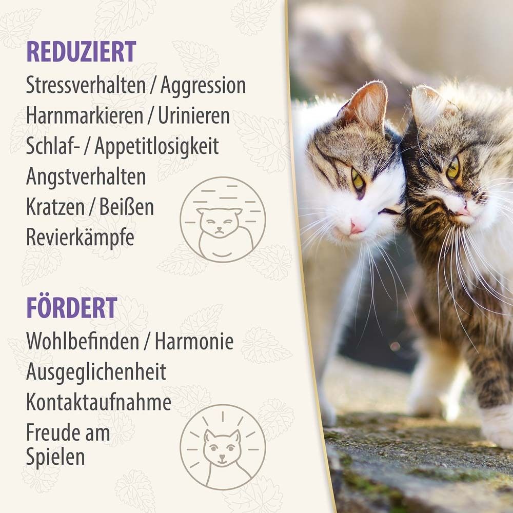 Texte avec listes : Réduit le comportement de stress, l'agression, etc. Favorise le bien-être, l'harmonie, etc. Deux chats.