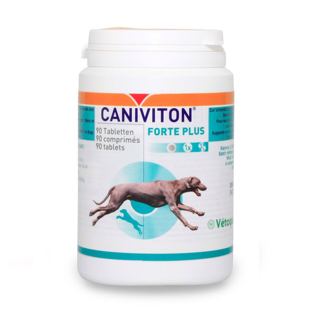 Boîte blanche CANIVITON FORTE PLUS, 90 comprimés. Image d'un chien courant. Logo Vétoguinol.