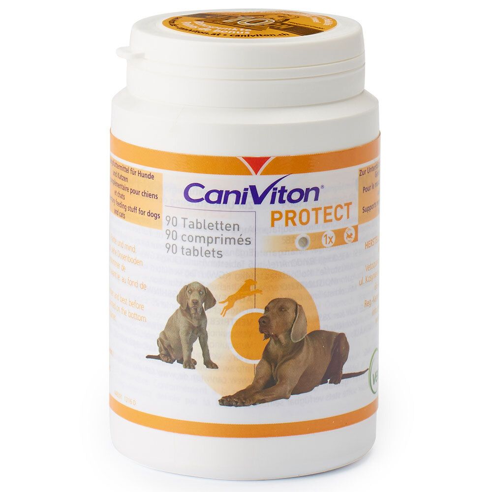 Boîte blanche avec étiquette CaniViton PROTECT. Contient 90 comprimés. Illustration de deux chiens.