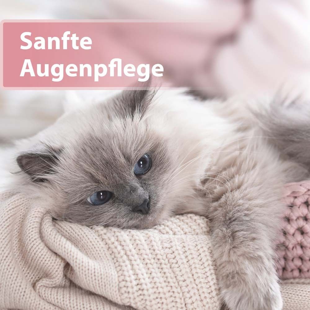 Chat couché sur une couverture. Texte : Soin doux des yeux.