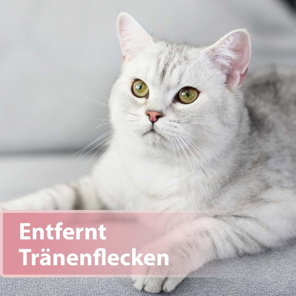 Chat couché sur un canapé. Texte : Élimine les taches lacrymales.