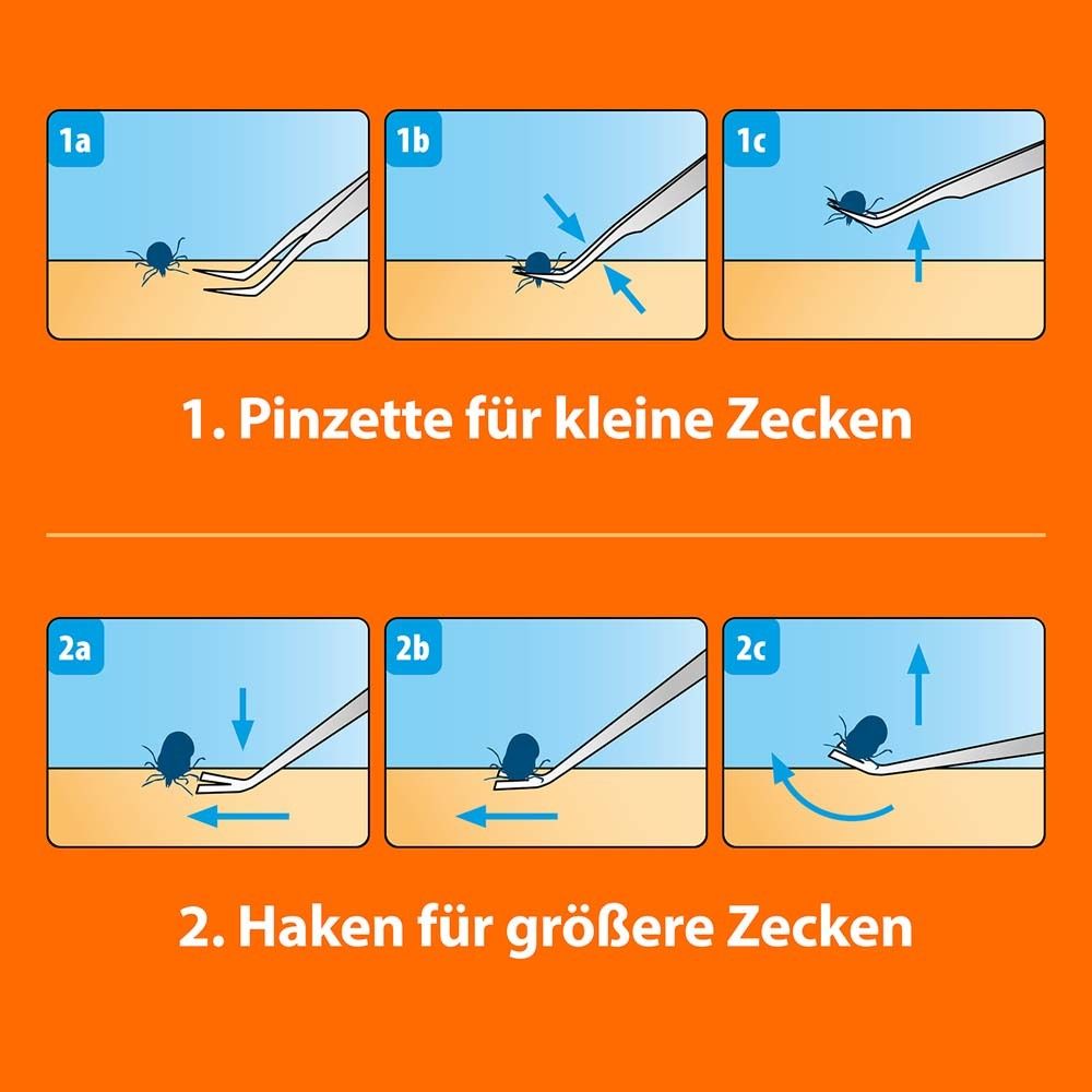 Illustrations de l'utilisation de la pince et du crochet pour enlever les tiques. Étapes 1a-1c et 2a-2c.