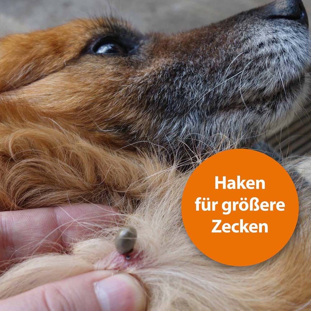 Chien avec une tique. Le crochet est utilisé pour enlever la tique. Cercle orange avec du texte.