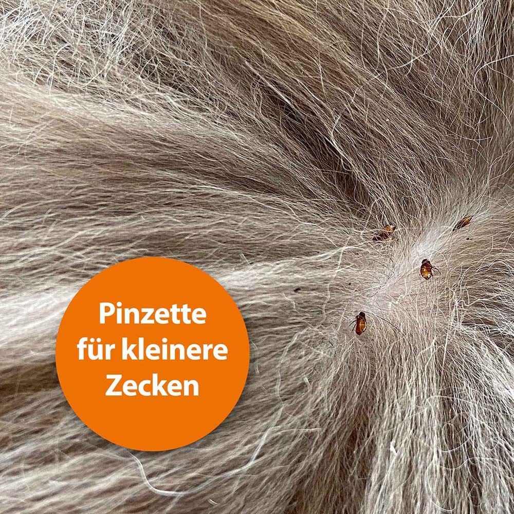 Poil de chien avec des tiques. Cercle orange avec texte : Pince à épiler pour petites tiques.