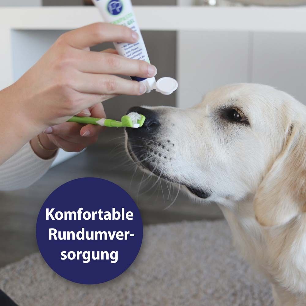 Chien avec brosse à dents. Le dentifrice est appliqué sur les dents. Texte : Soins complets confortables.