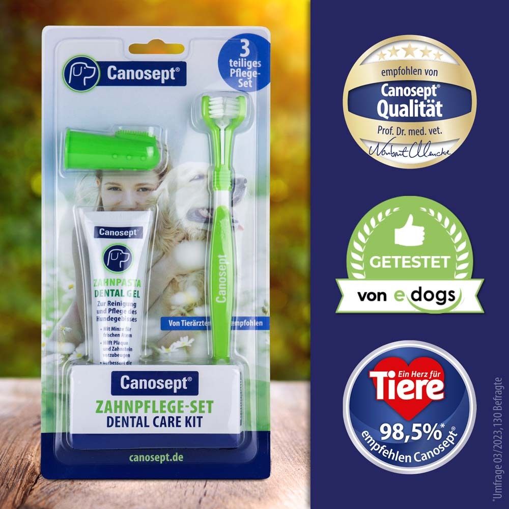 Canosept Kit de soins dentaires pour chiens. Contient dentifrice, brosse à dents doigt et brosse à dents. Emballage avec logo et sceaux.