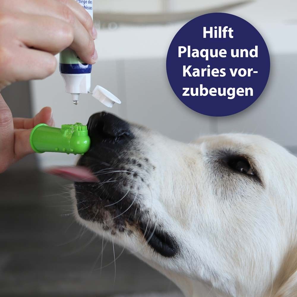 Lingettes Canosept pour doigts pour chiens, 50 pièces en boîte distributrice. "Prêt à l'emploi".