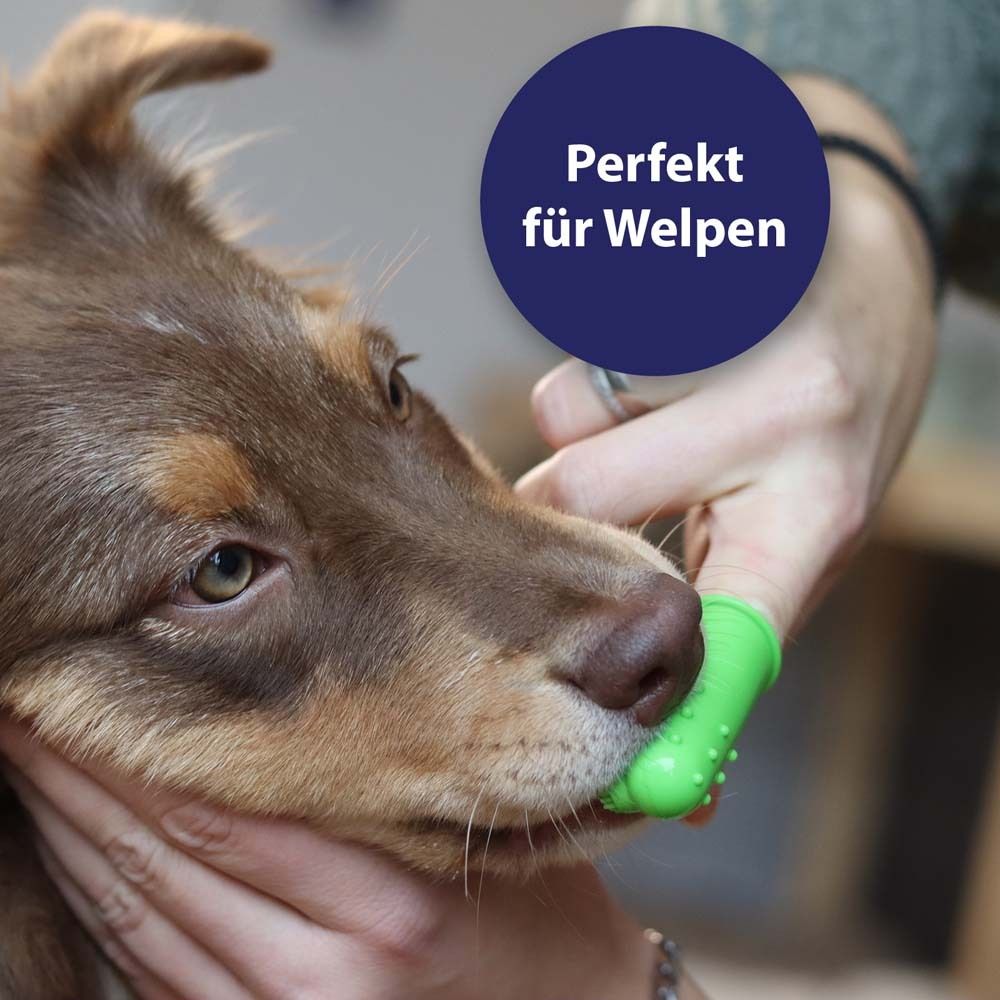 Jeune chien traité avec une brosse à doigts Canosept. Cercle bleu "Parfait pour les chiots".