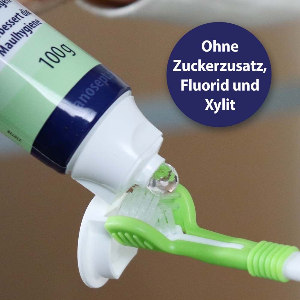 Le dentifrice est pressé sur une brosse à dents verte. Gros plan. Sans sucre, fluor et xylitol.