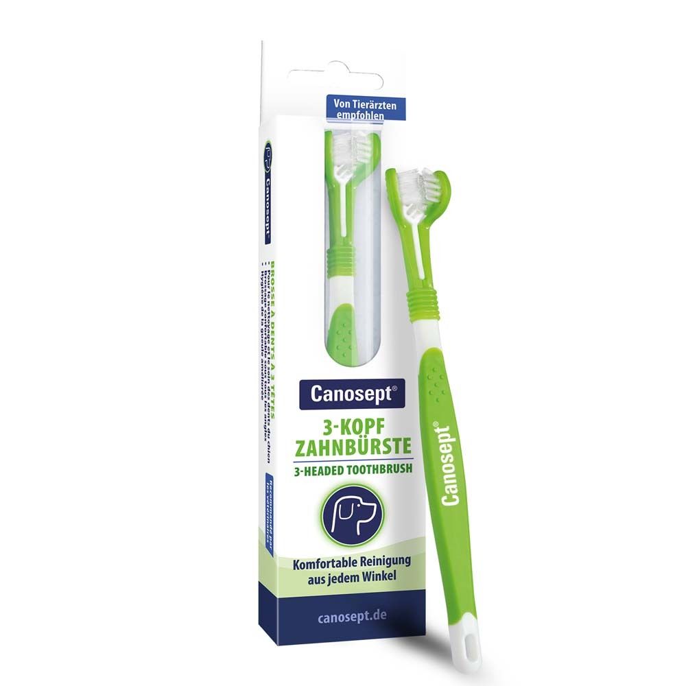 Brosse à dents Canosept® 3 têtes pour chiens. Brosse verte et blanche dans son emballage. Recommandé par les vétérinaires.