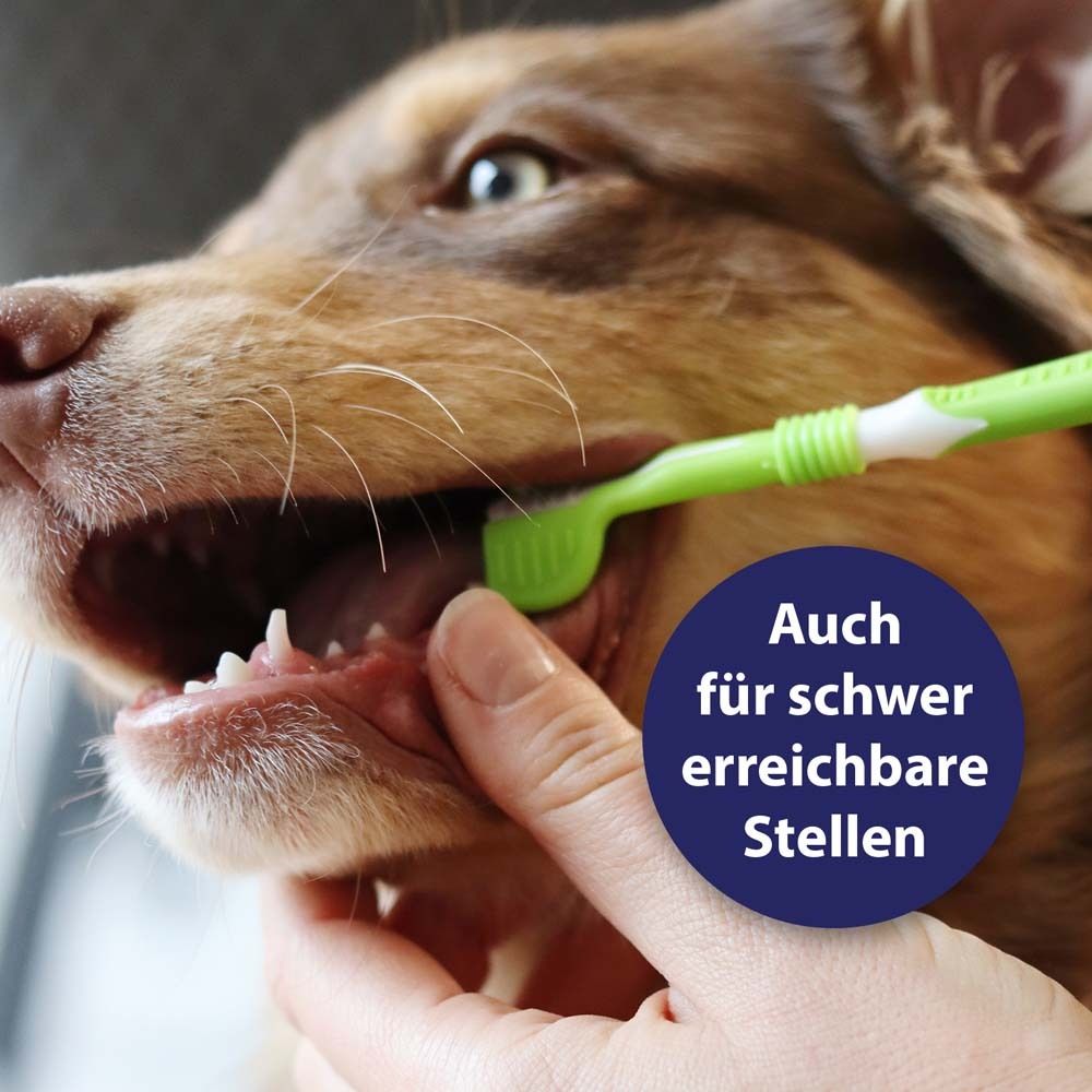 Brosse à dents en cours d'utilisation. Une personne brosse les dents d'un chien. Texte : Même pour les endroits difficiles d'accès.