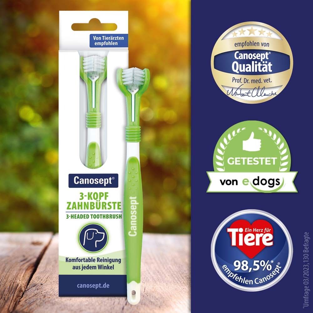 Produits Canosept®. Brosse à dents 3 têtes, certificats de qualité et logos. Recommandé par les vétérinaires.