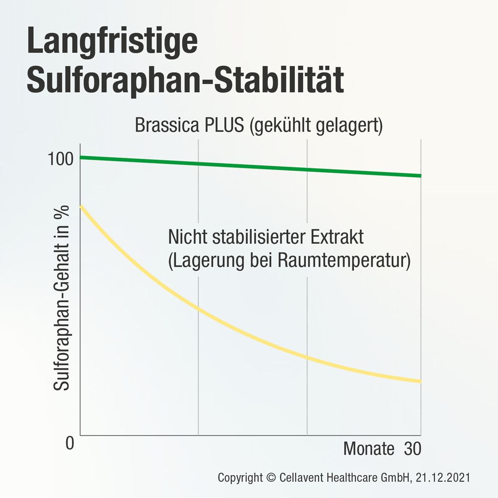 Graphique: Teneur en sulforaphane en % sur 30 mois. Brassica PLUS (réfrigéré) conserve la teneur.
