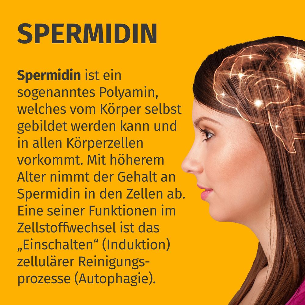 Profil d'une femme avec un symbole cérébral lumineux. Le texte explique la spermidine comme un polyamine produit par le corps.