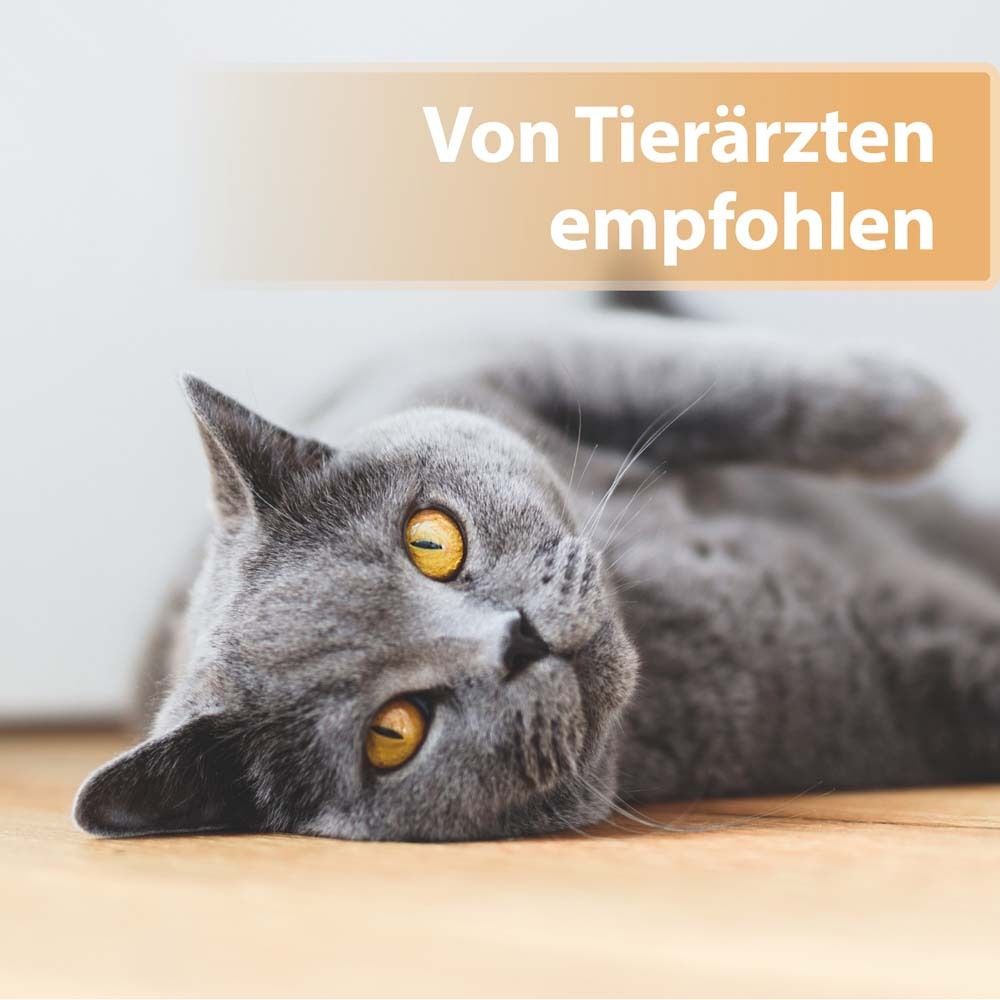 Chat. Texte : Recommandé par les vétérinaires.