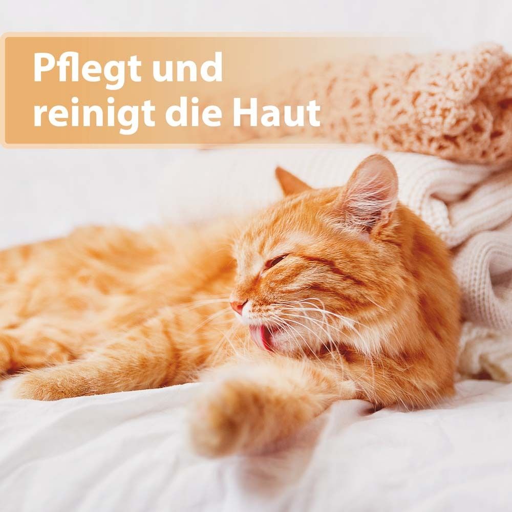 Chat se toilette sur une couverture. Texte : Soigne et nettoie la peau.