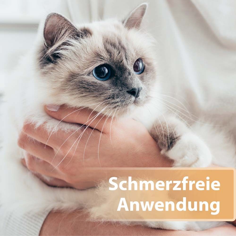 Chat tenu. Texte : Application indolore.