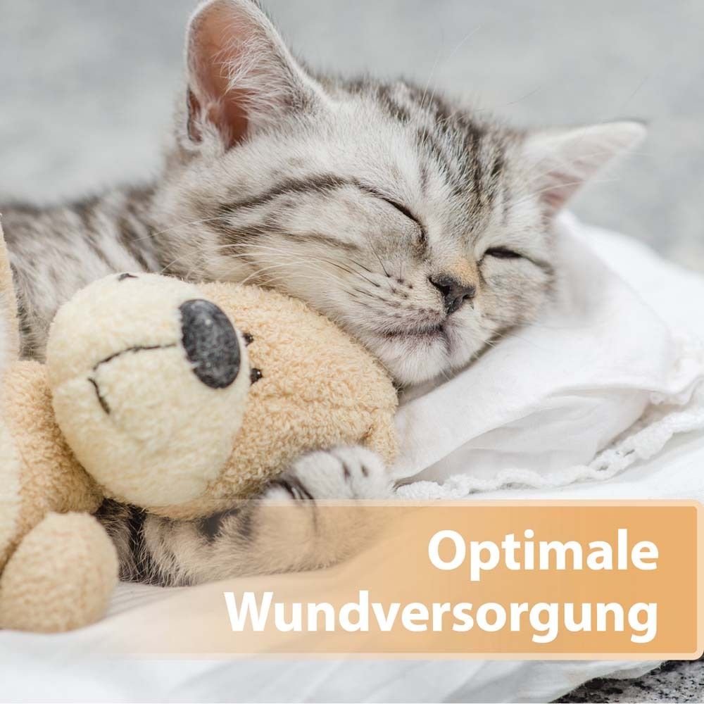 Chaton dort avec un ours en peluche. Texte : Soins optimaux des plaies.