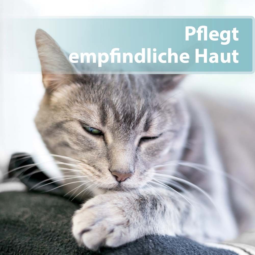 Chat se toilettant. Texte : Soigne la peau sensible. Pelage gris. Fond bleu.