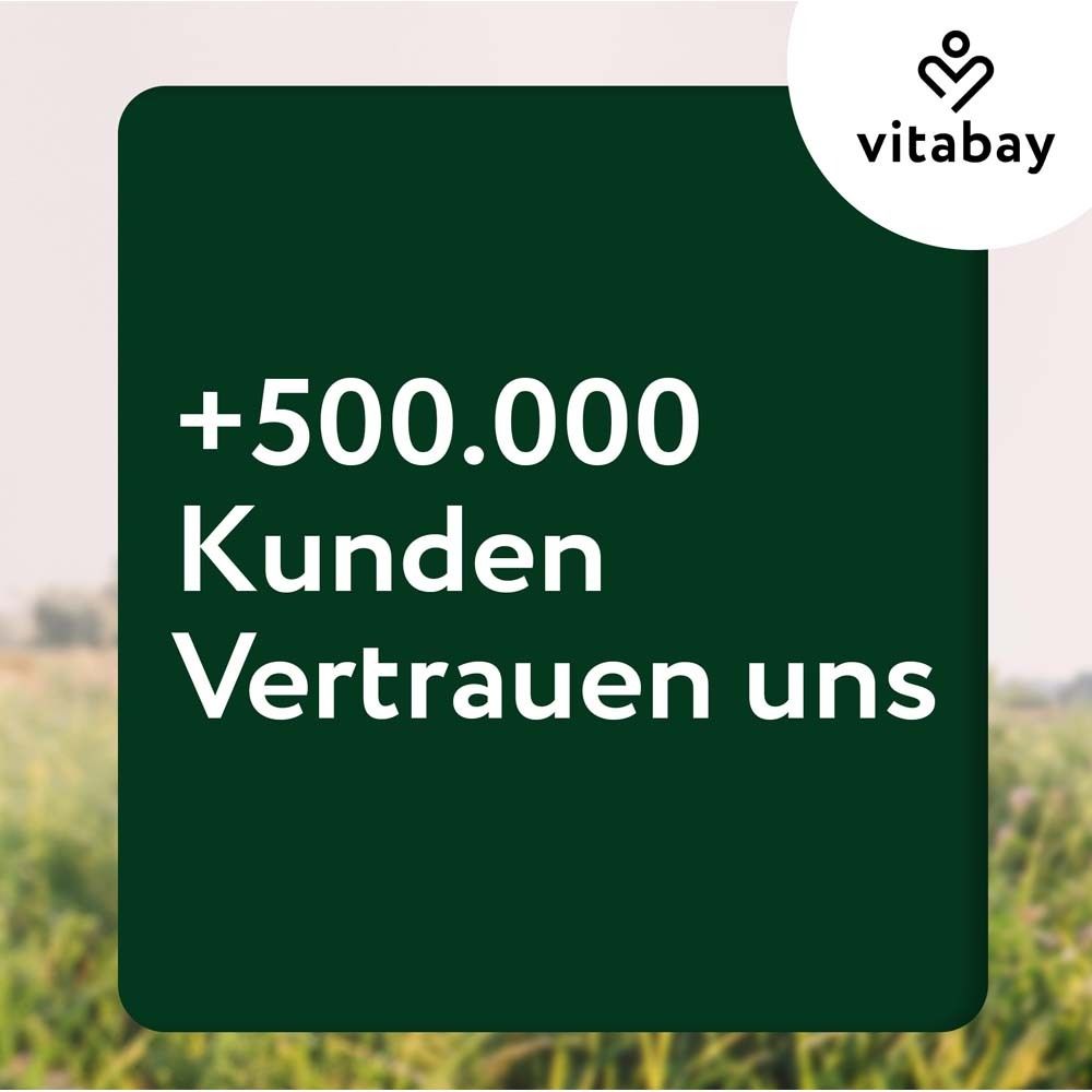 Fond vert avec texte: +500 000 clients nous font confiance.