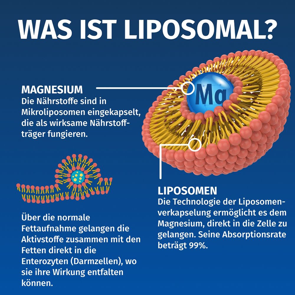 Graphique expliquant la technologie liposomale : magnésium en microliposomes pour une meilleure absorption.