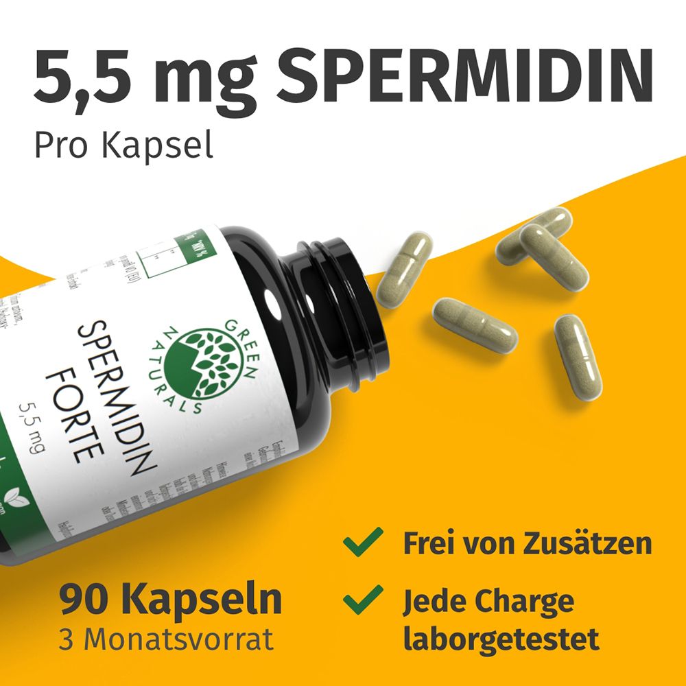 Bouteille avec des gélules tombant. Spermidin Forte 5,5 mg, 90 gélules. Sans additifs, testé en laboratoire.