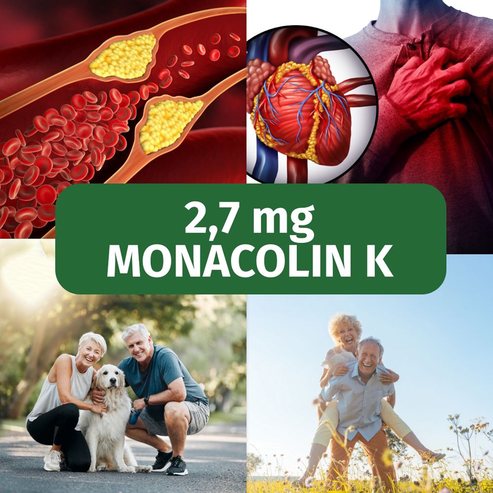 Collage : Vaisseaux sanguins, cœur, 2,7 mg de monacoline K, couple âgé avec chien, couple âgé.