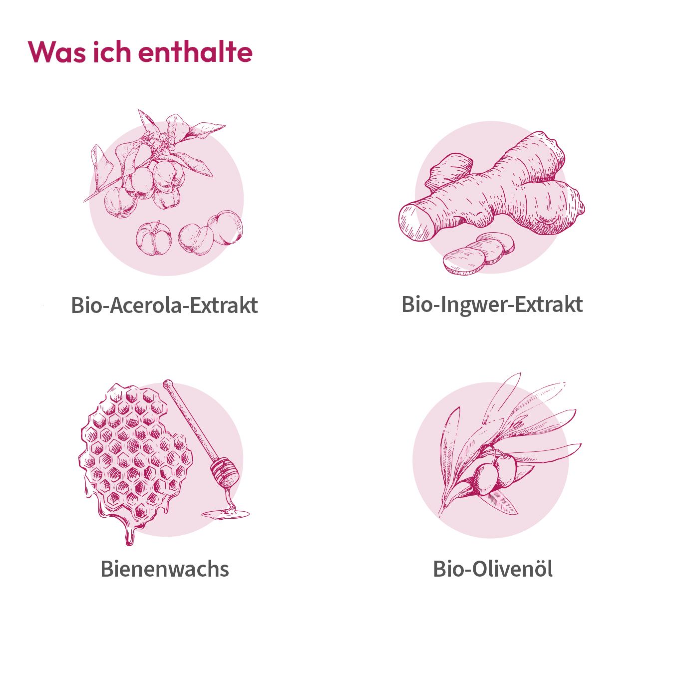 Dessins d'extrait d'acérola bio, extrait de gingembre bio, cire d'abeille et huile d'olive bio. Ingrédients.