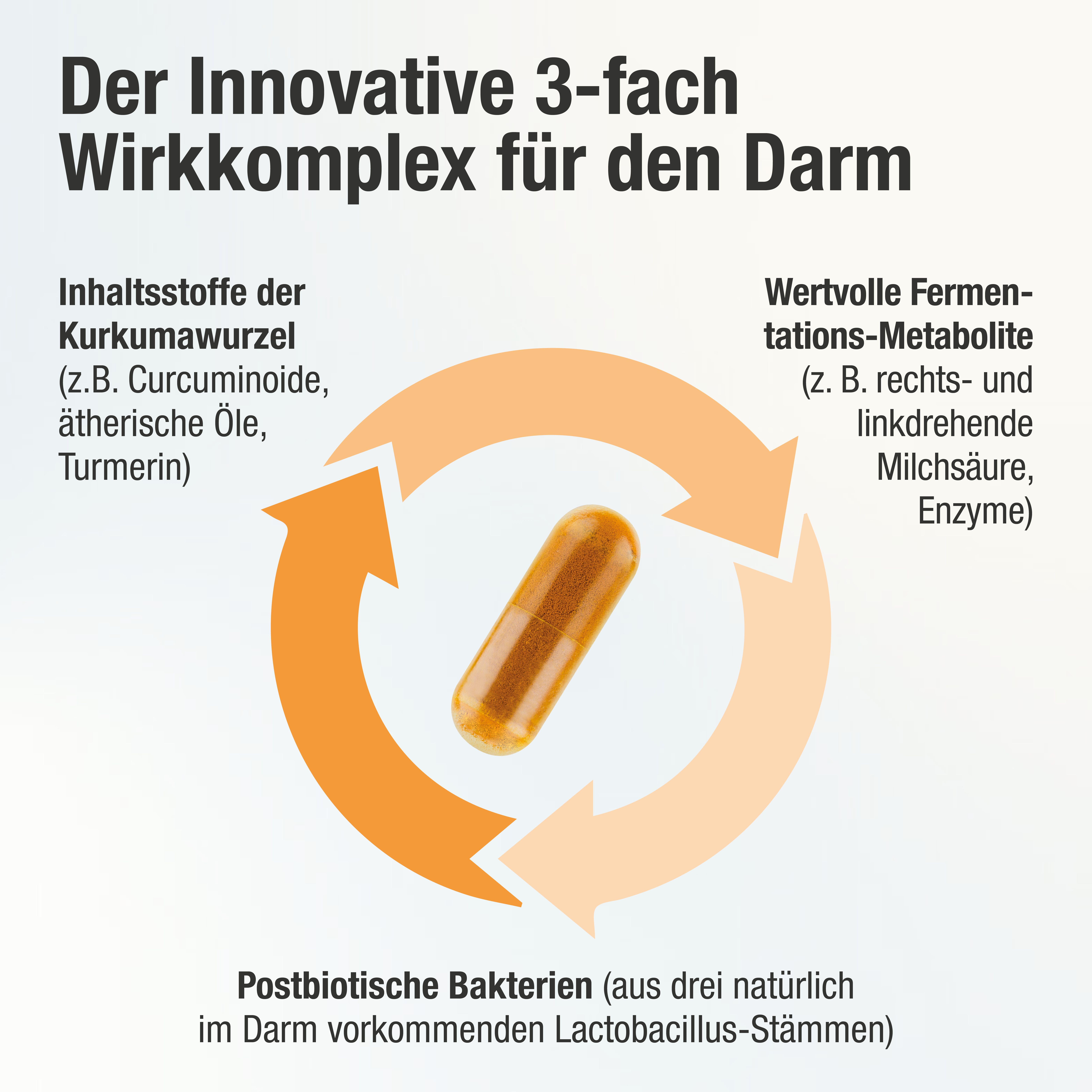 Infographie avec flèches et gélule. Inscription : Le complexe d'action innovant à 3 voies pour l'intestin. Illustrations.