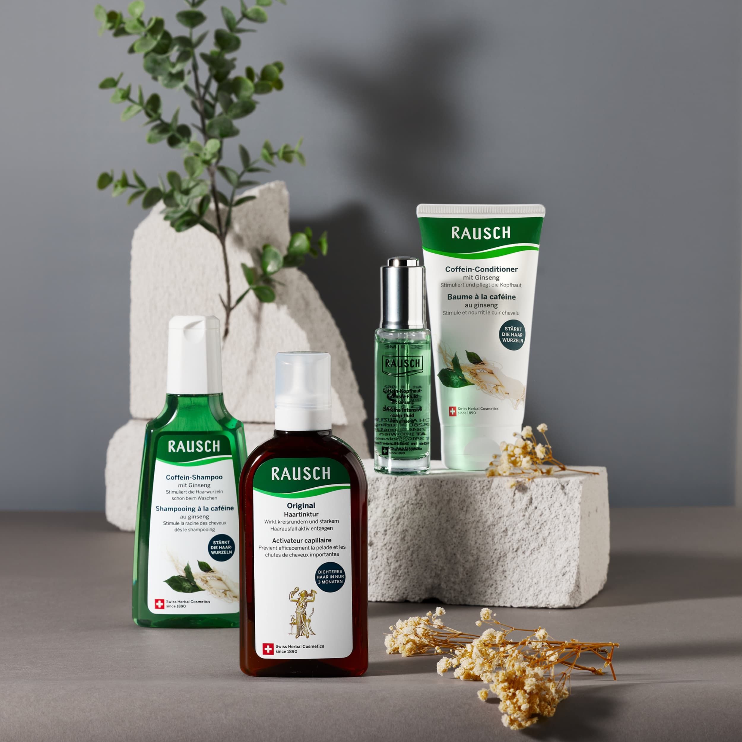 RAUSCH Coffein-Kopfhaut-Intensiv-Fluid au ginseng, shampoing et après-shampoing dans un arrangement.