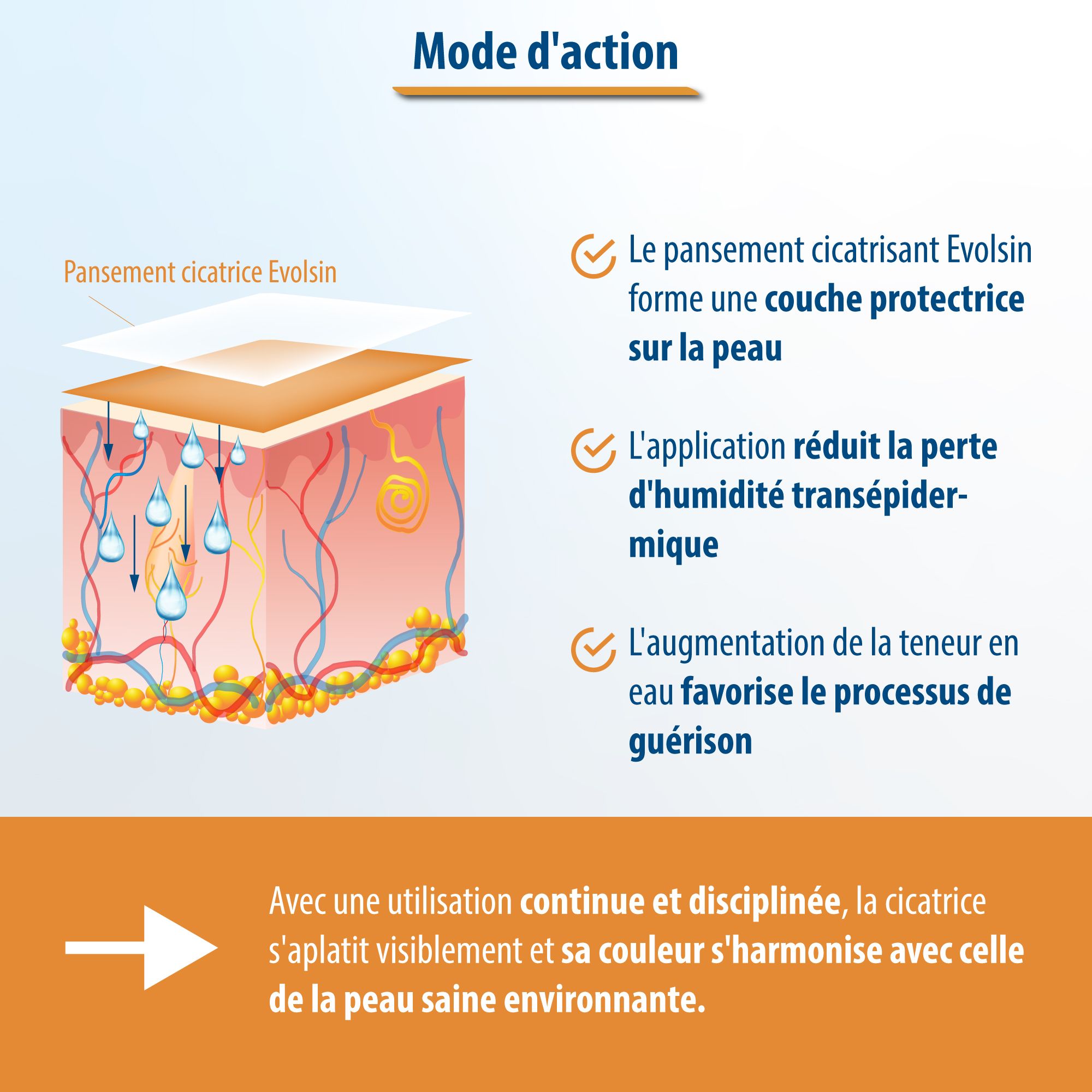 EVOLSIN® Pansement cicatrisant transparent - pour tous types de cicatrices