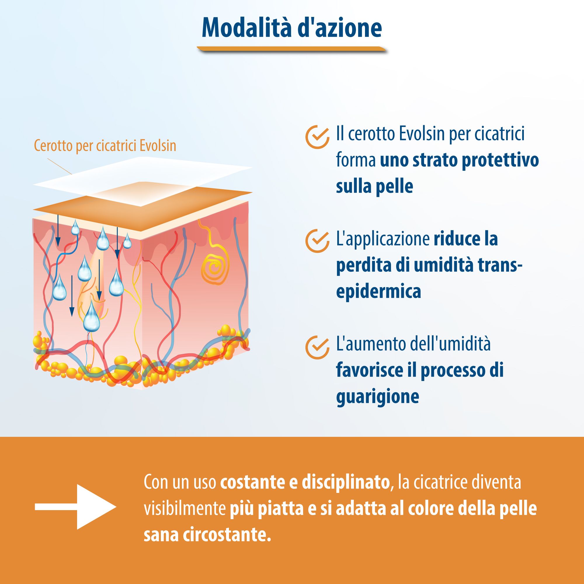 Diagramme montrant le mode d'action du pansement cicatrisant. Il forme une couche protectrice, réduit la perte d'humidité et favorise la guérison.
