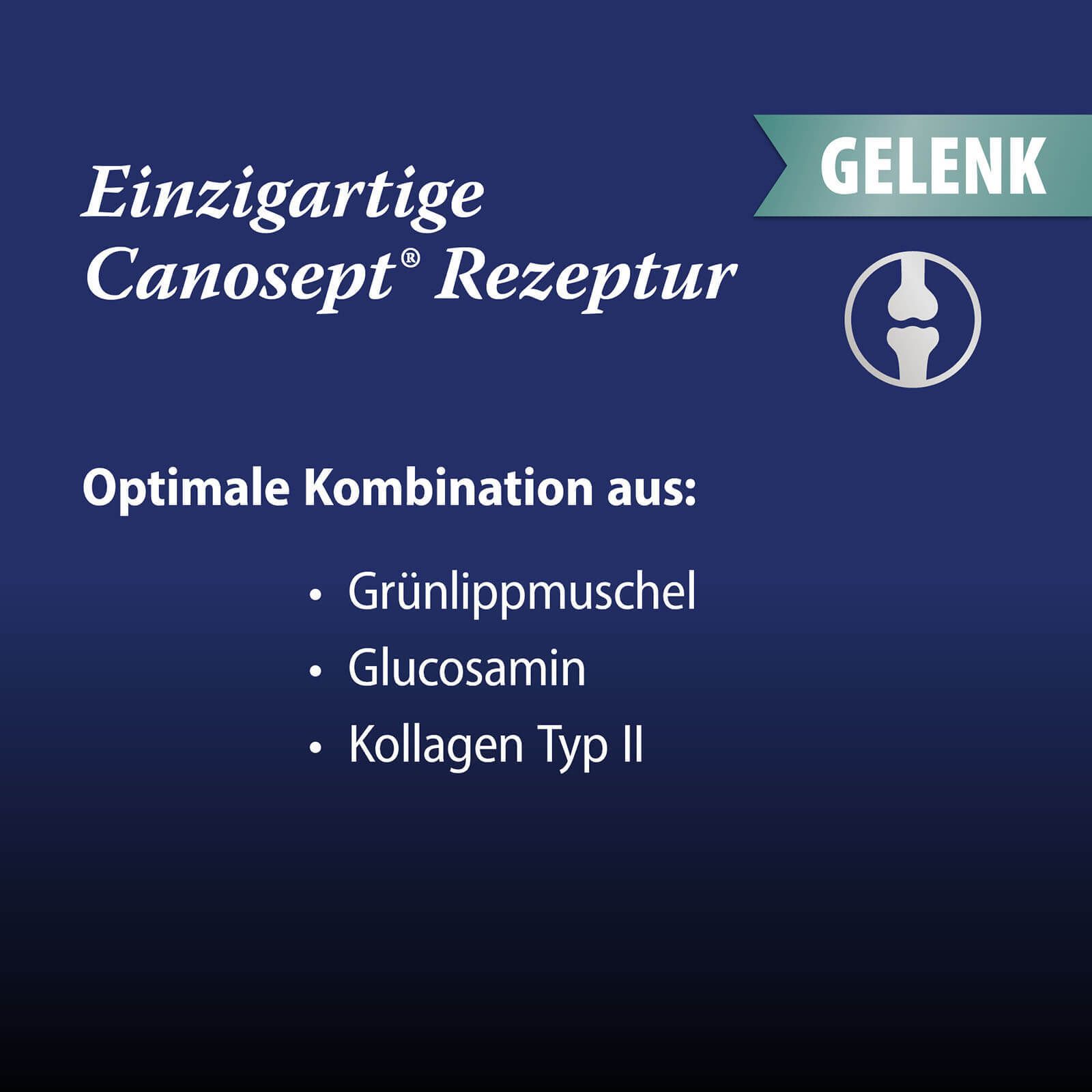 Fond bleu avec texte : Recette Canosept unique. Combinaison optimale de : Moule verte, Glucosamine, Collagène de type II.