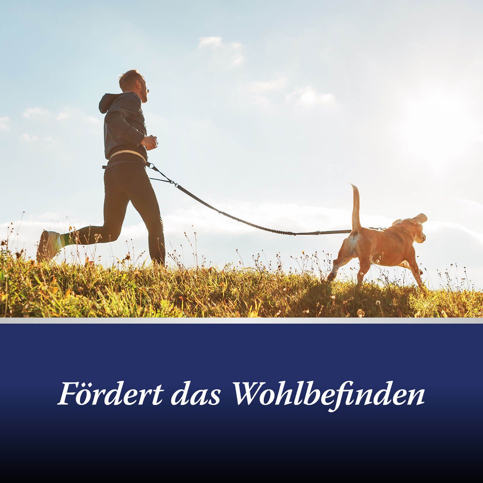 Homme et chien faisant du jogging. Texte : Favorise le bien-être.