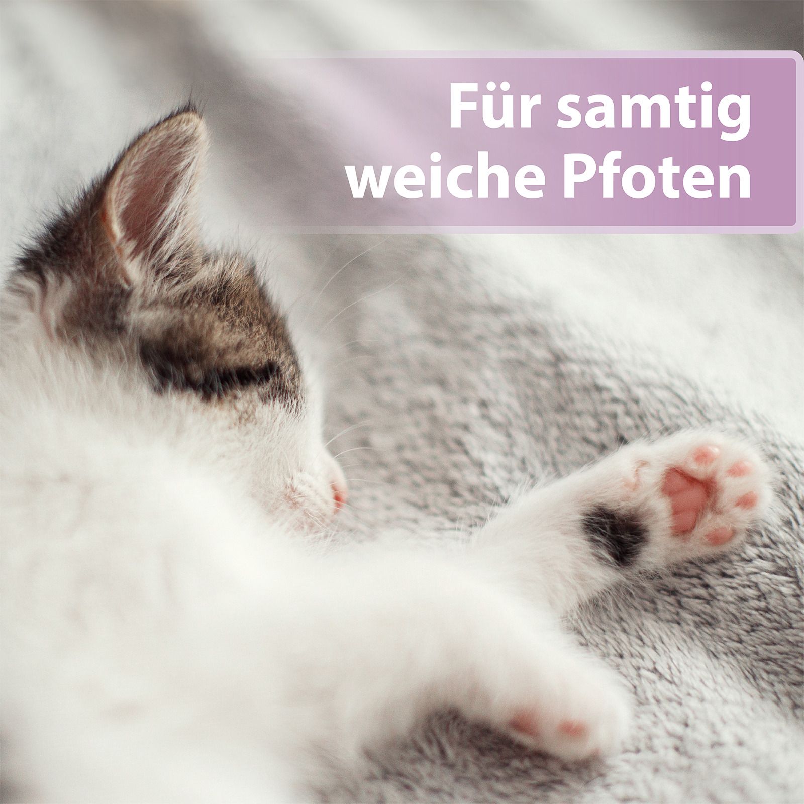 Chat couché sur une couverture. Texte : Pour des pattes douces et soyeuses.