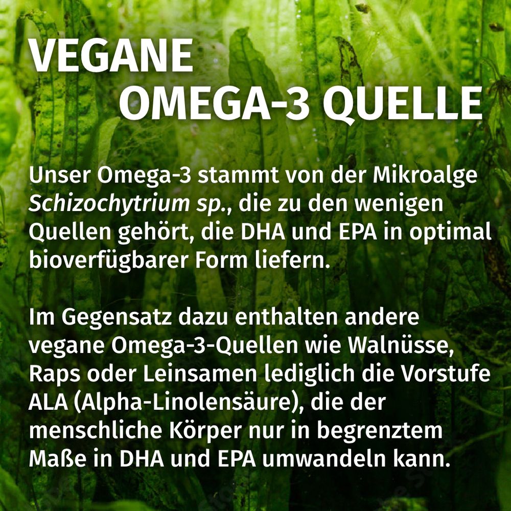 Source végétale d'Oméga-3 : Huile d'algues de Schizochytrium sp. fournit DHA et EPA.