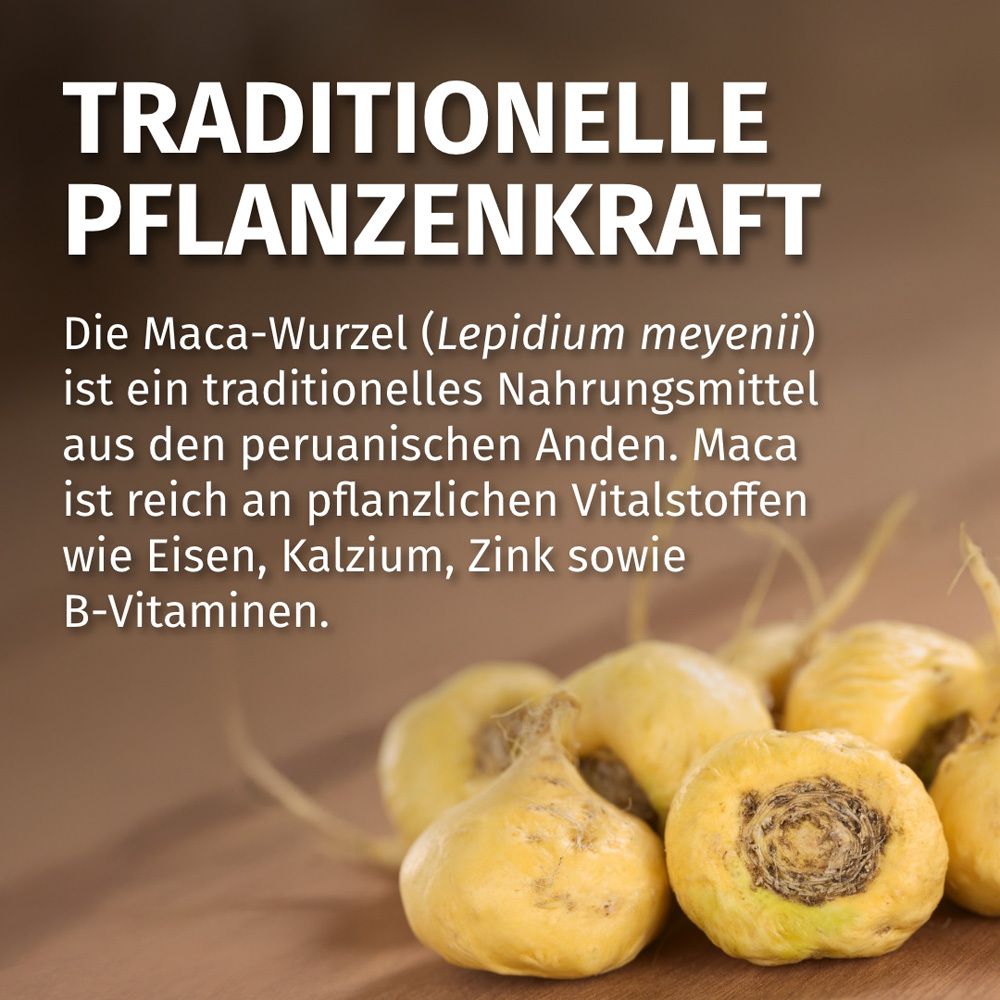 Gros plan sur les racines de maca jaunes. Texte : Pouvoir végétal traditionnel. Texte sur la racine de maca comme aliment traditionnel.