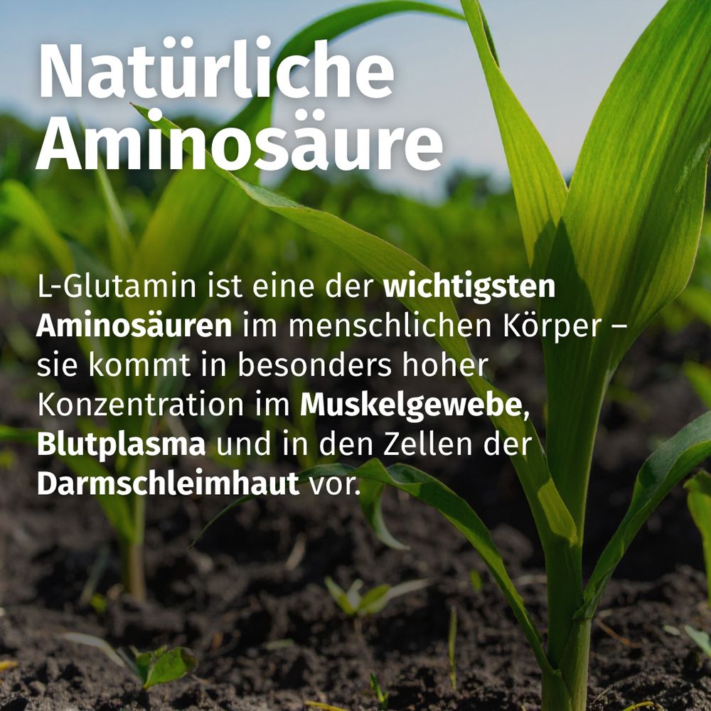 Plantes vertes. Texte : Acide aminé naturel. La L-glutamine est l'un des acides aminés les plus importants du corps humain.