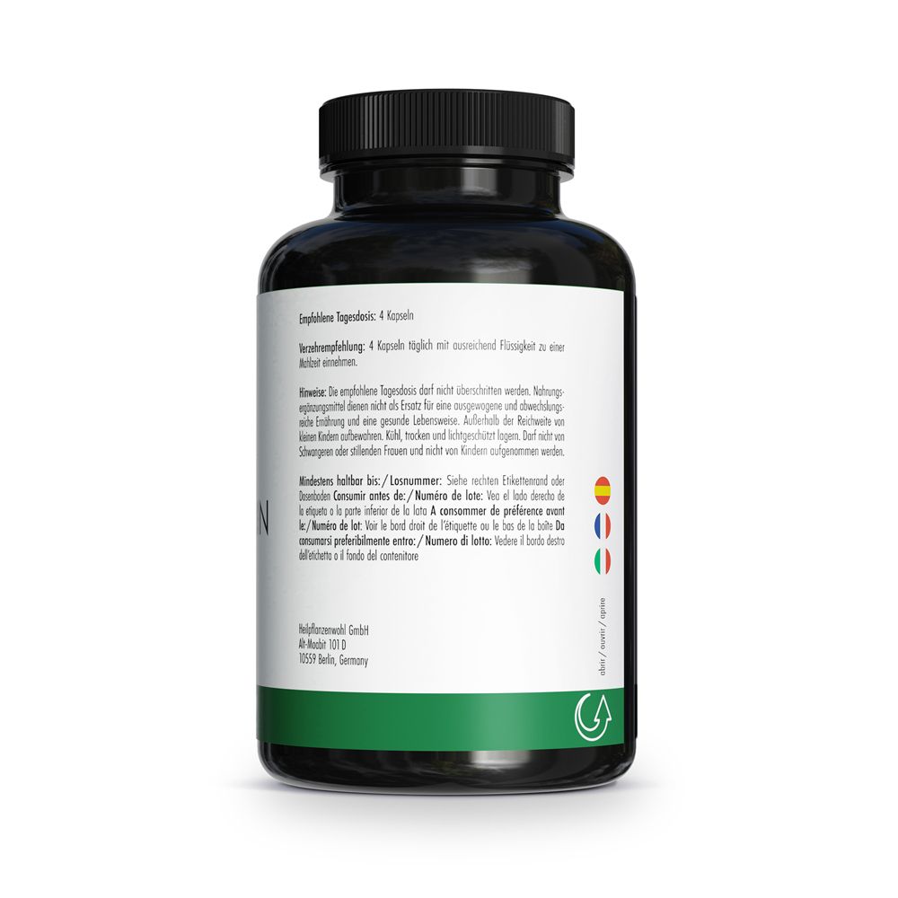 Dos du flacon. Texte : GREEN NATURALS L-Glutamine. Recommandations d'utilisation, avertissements, informations du fabricant.
