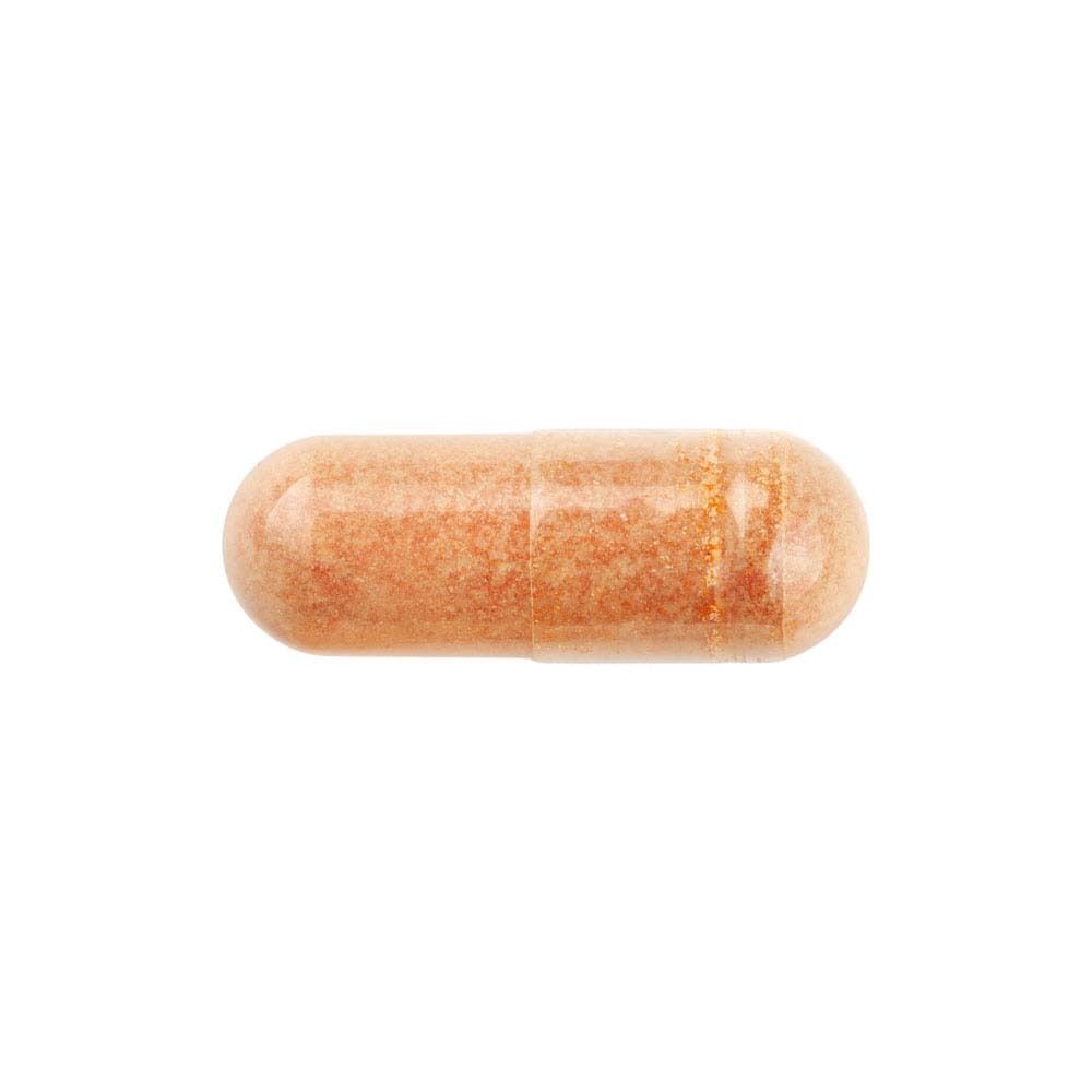 Gélule unique, marron et oblongue.
