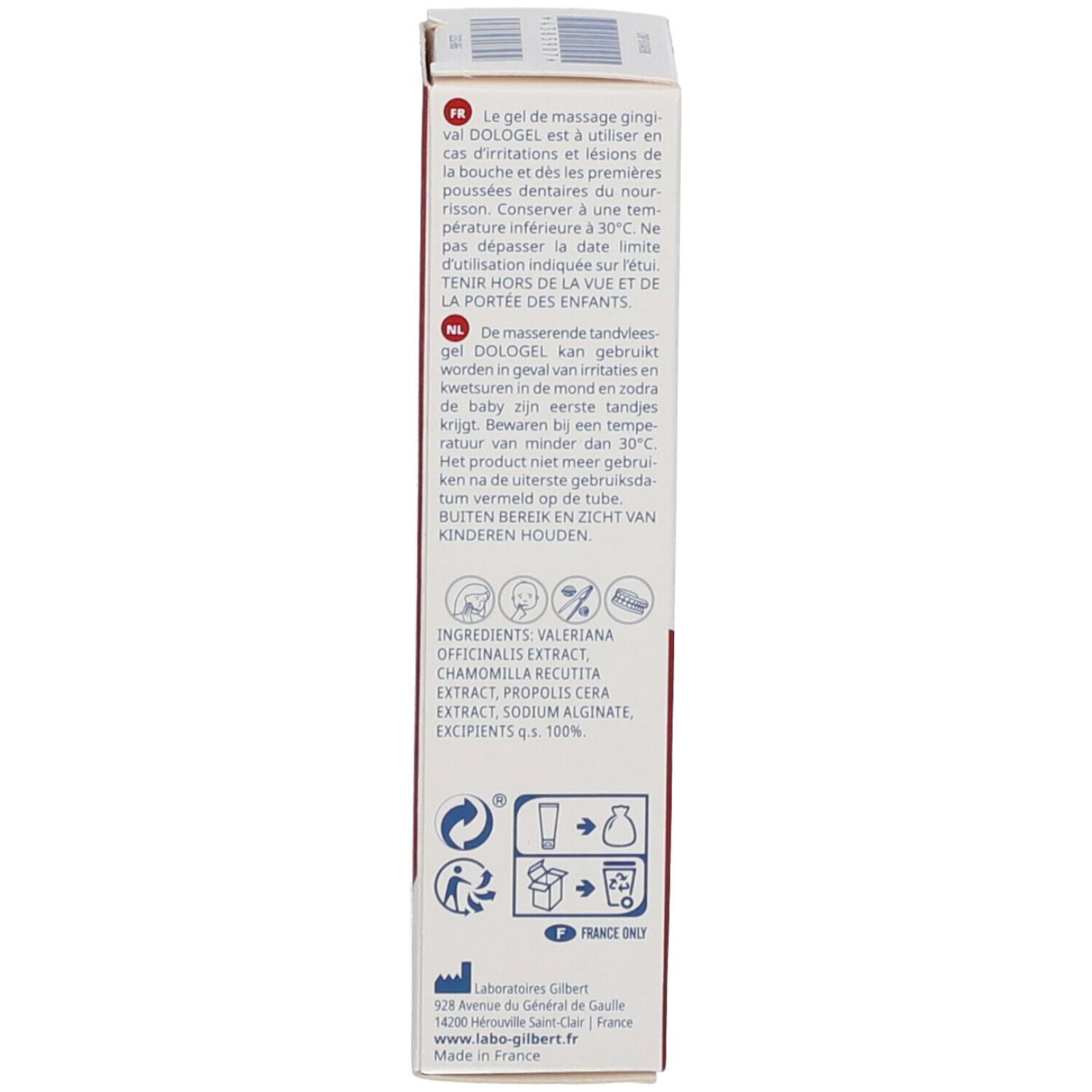 dologel gel gingival